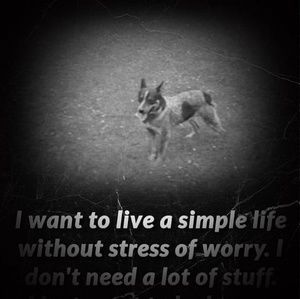 Meet your Posher, Shane